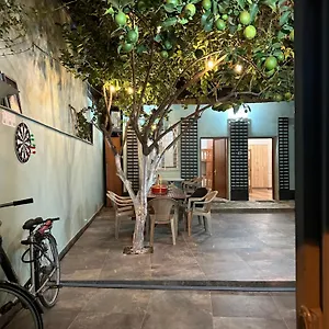 Auberge de jeunesse Lemon Breeze, Tirana